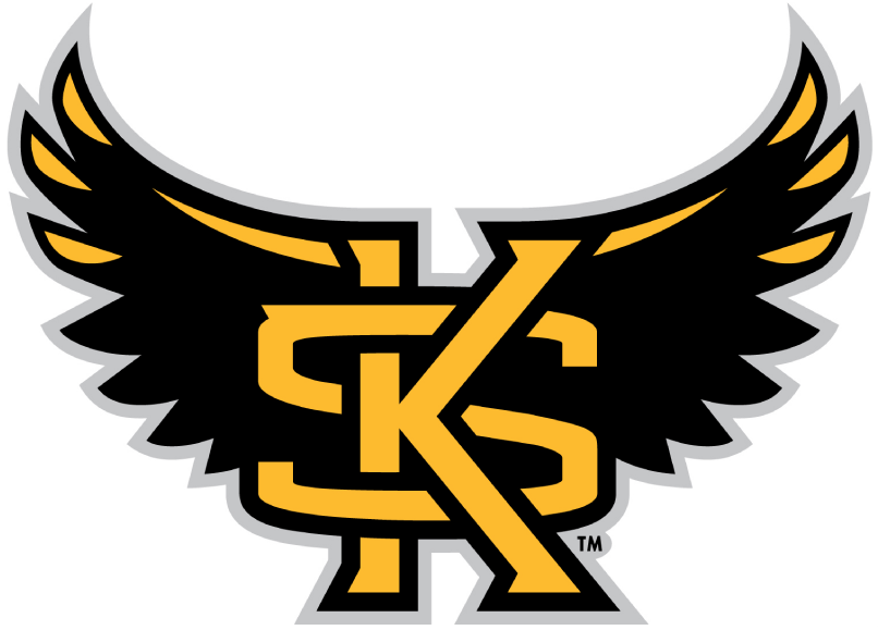 Kennesaw State Owls 2012-Pres Alternate Logo iron on transfers for clothing